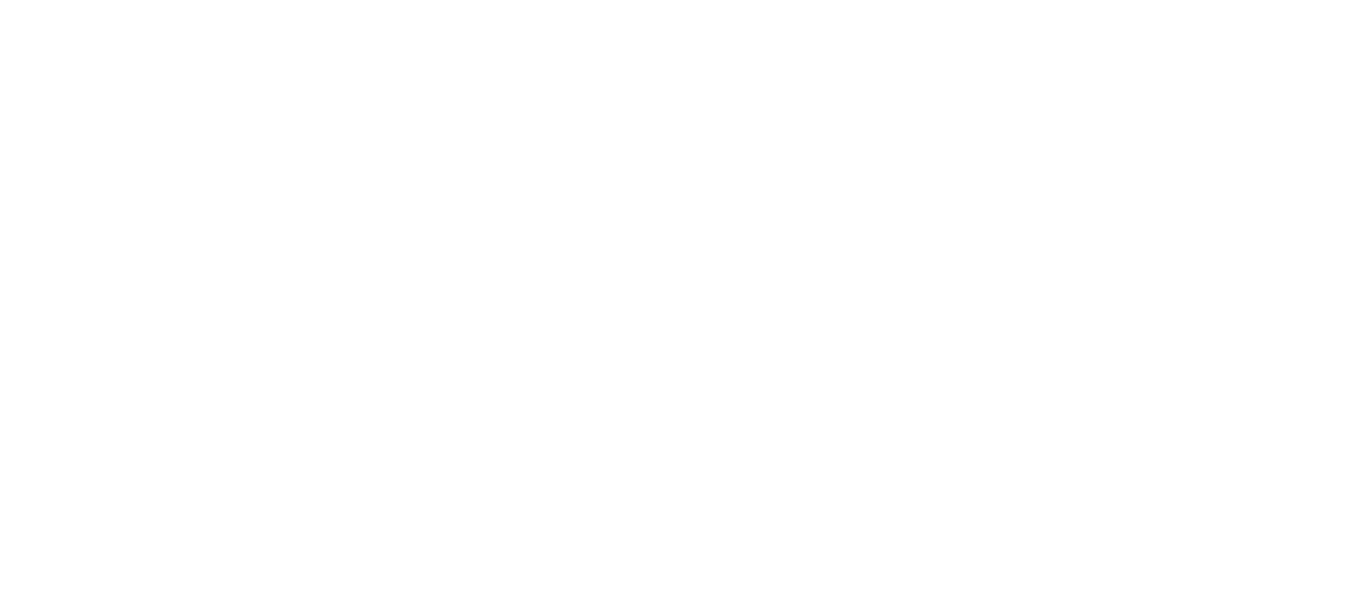 FlyBluex